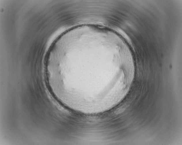 X0000062901096200602031826