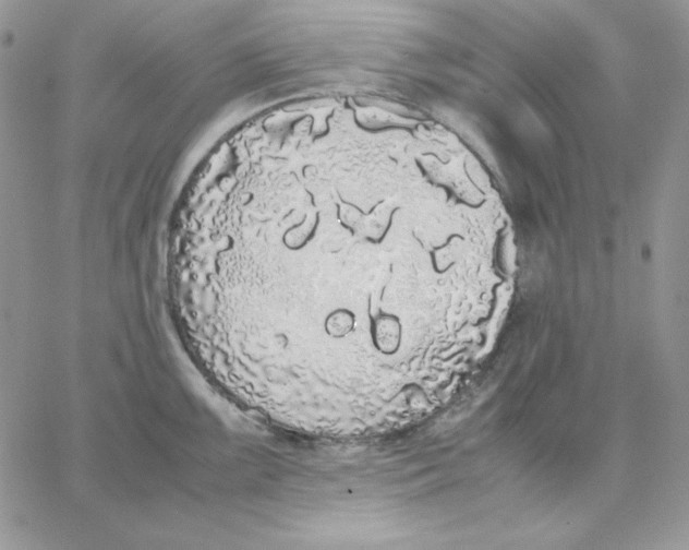 X0000062901099200602031826