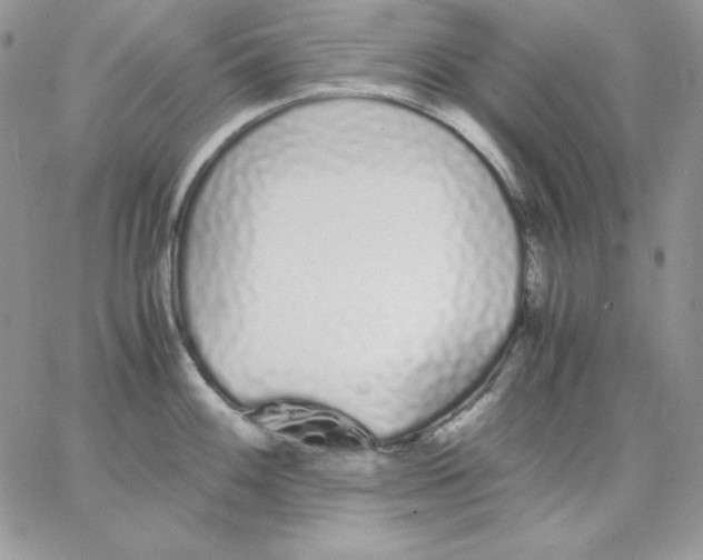 X0000062901100200602031826