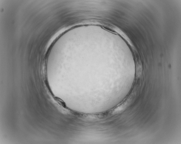 X0000062901101200602031826