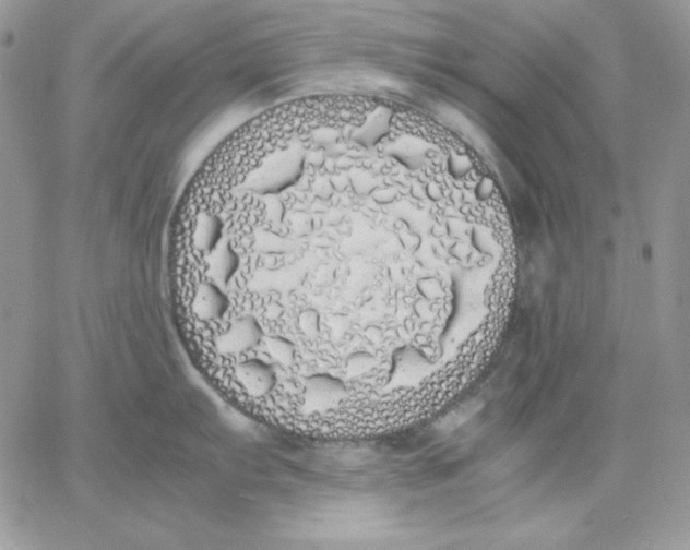 X0000062901103200602031826