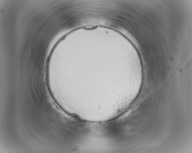 X0000062901104200602031826