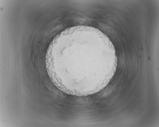 X0000062901105200602031825