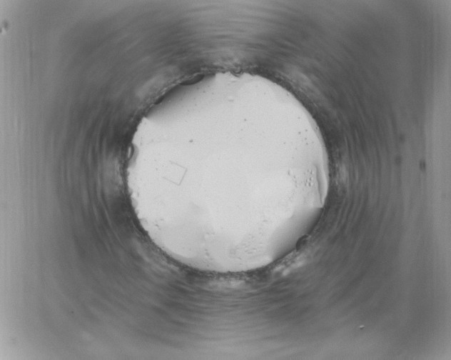 X0000062901106200602031825