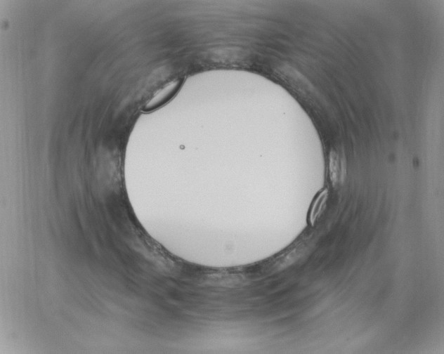 X0000062901107200602031825