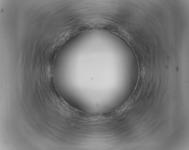 X0000062901108200602031825