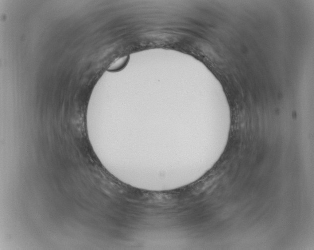 X0000062901109200602031825