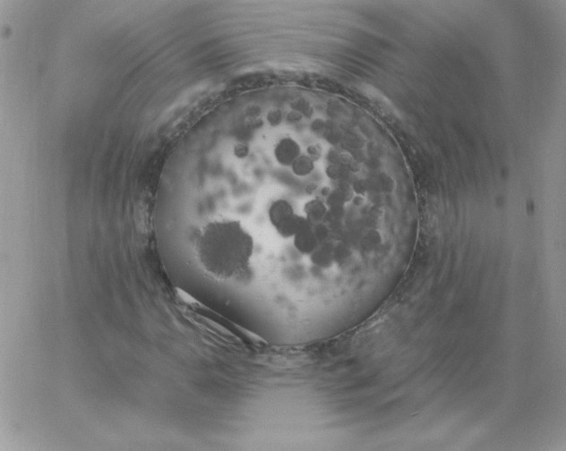 X0000062901110200602031825