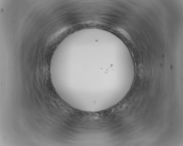 X0000062901111200602031825