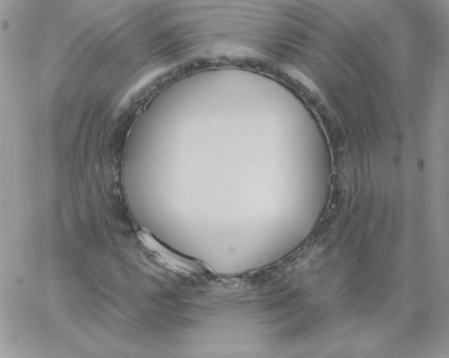 X0000062901112200602031825