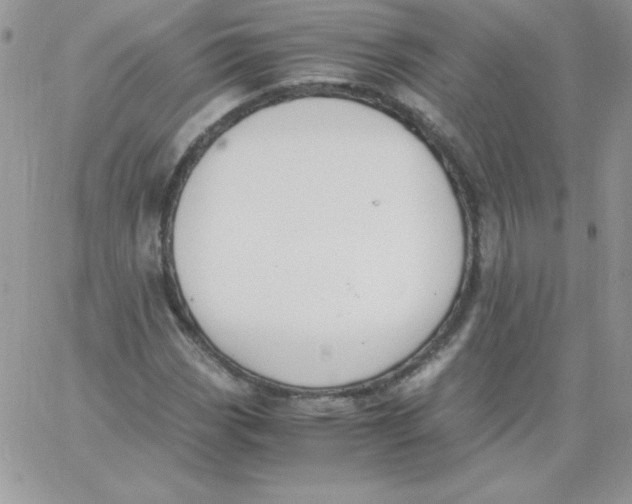 X0000062901113200602031825