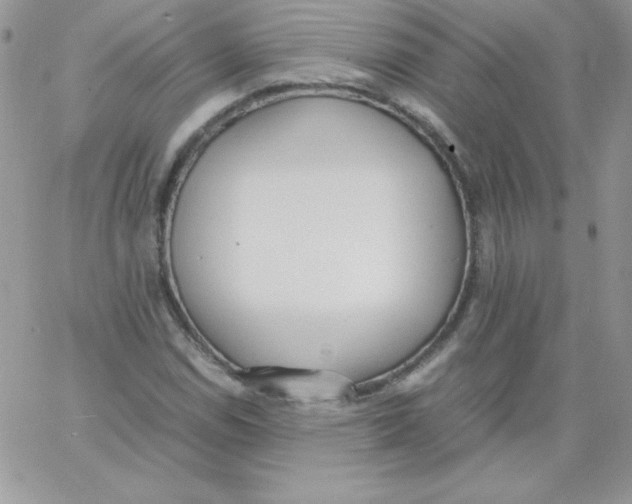 X0000062901114200602031825