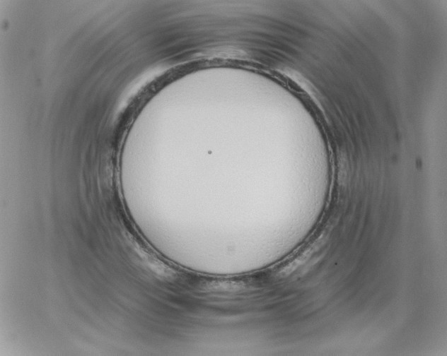 X0000062901115200602031825