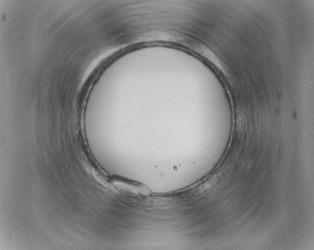 X0000062901116200602031825