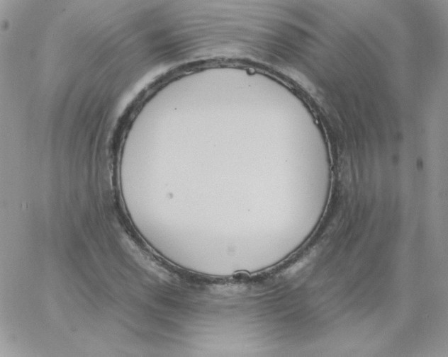 X0000062901118200602031825