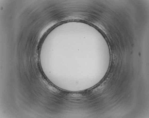 X0000062901119200602031825