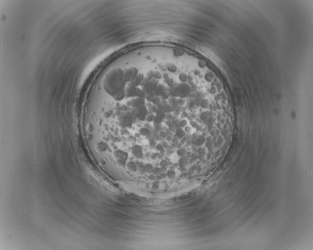 X0000062901120200602031825