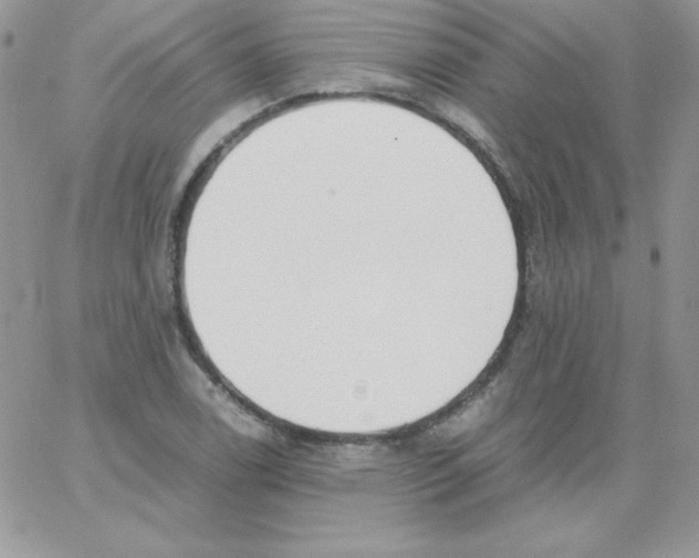 X0000062901122200602031825