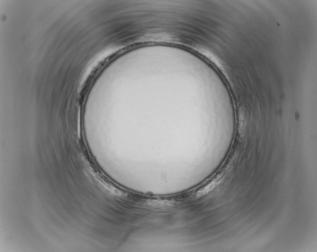 X0000062901123200602031825