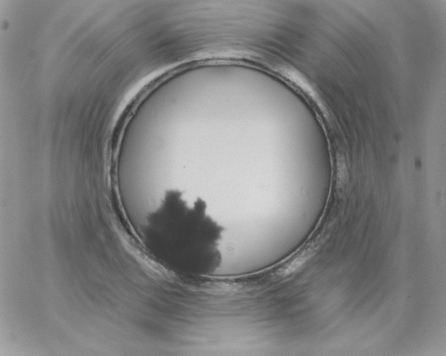 X0000062901124200602031825