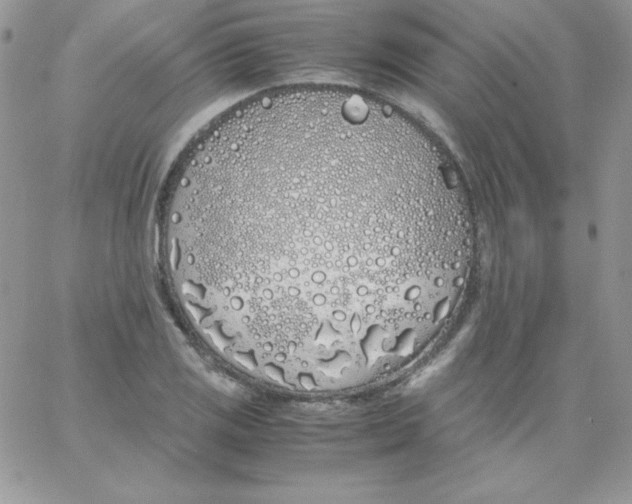 X0000062901125200602031825