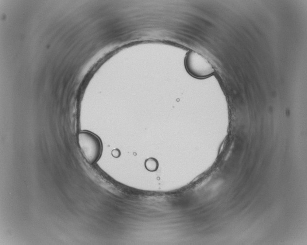 X0000062901126200602031825