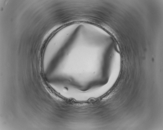 X0000062901127200602031825