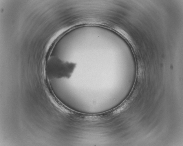 X0000062901128200602031825