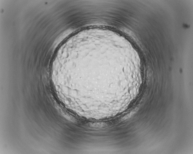 X0000062901129200602031825