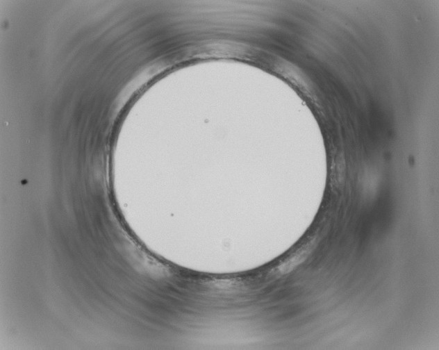 X0000062901130200602031825