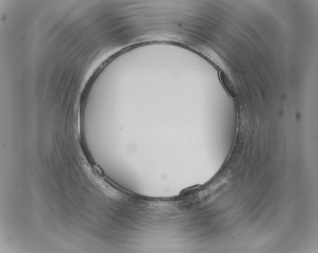 X0000062901132200602031825