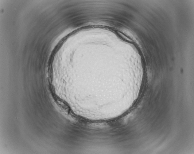 X0000062901133200602031825