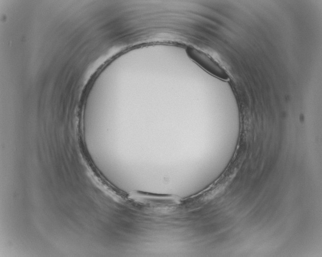 X0000062901134200602031825