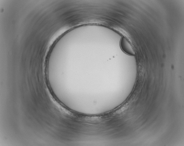 X0000062901135200602031825