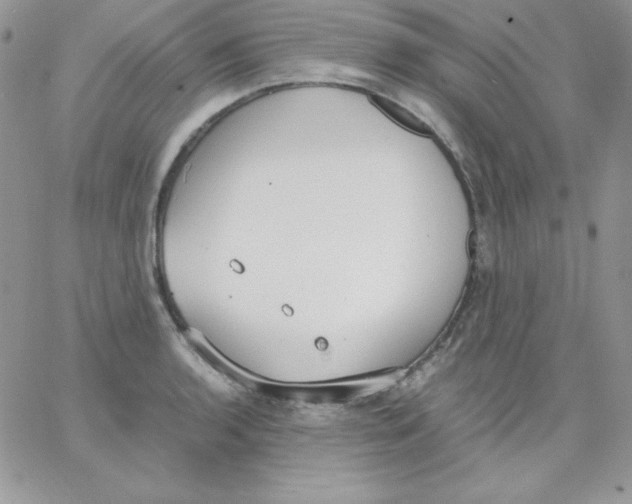 X0000062901136200602031825