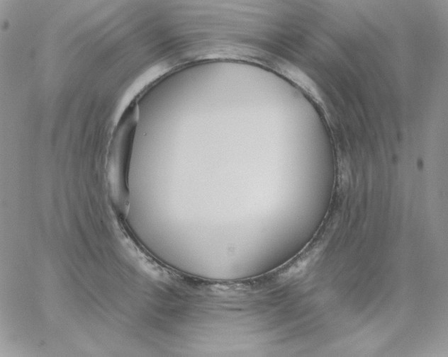 X0000062901138200602031825