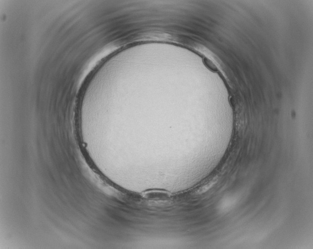 X0000062901139200602031825