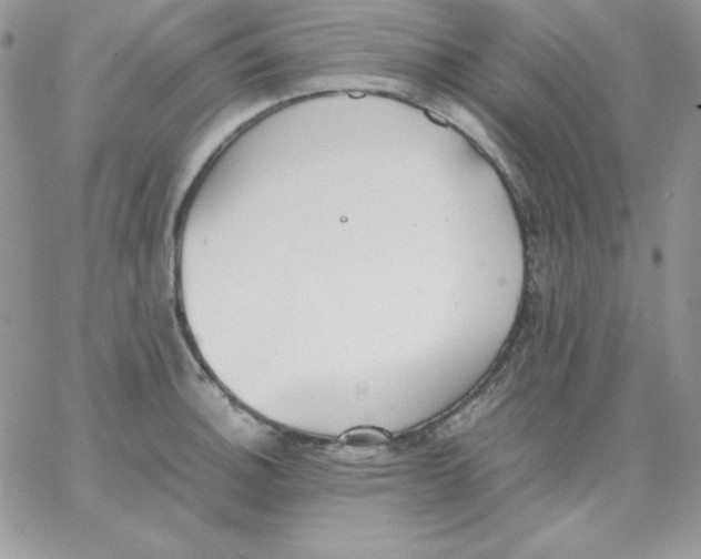 X0000062901140200602031825