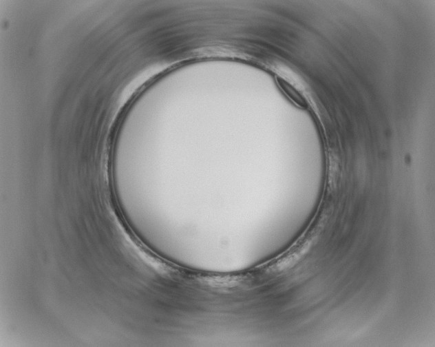 X0000062901141200602031825