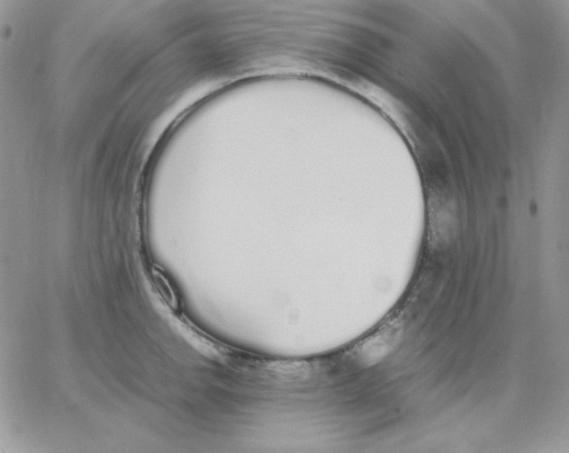 X0000062901142200602031825