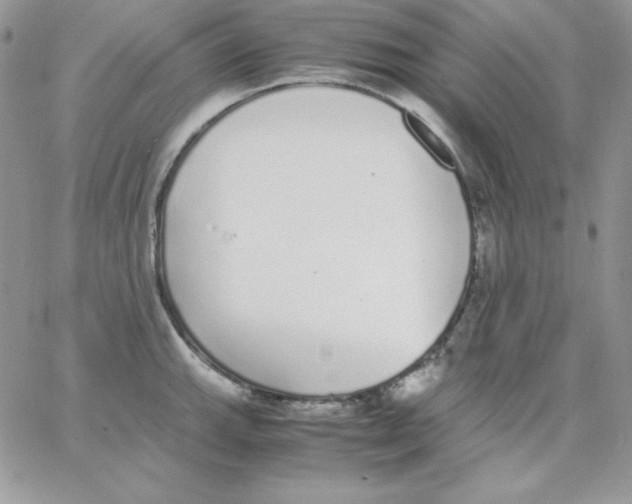 X0000062901143200602031825