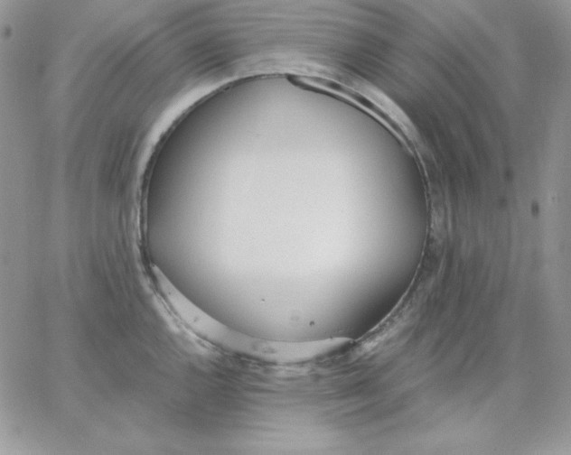 X0000062901144200602031825