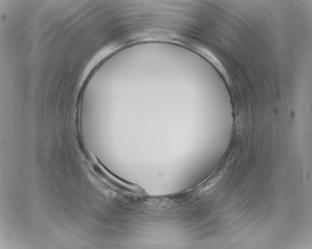 X0000062901146200602031825