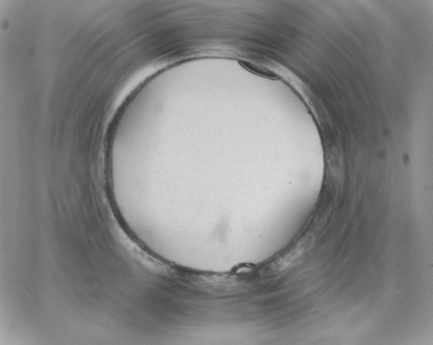 X0000062901147200602031826