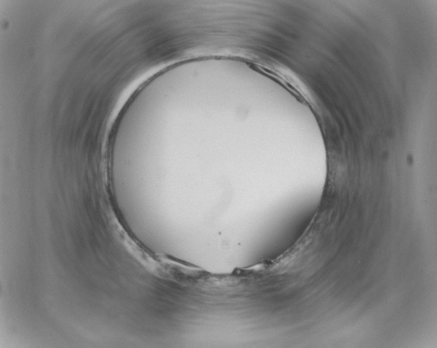 X0000062901148200602031826