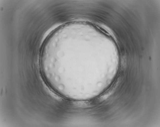 X0000062901149200602031826