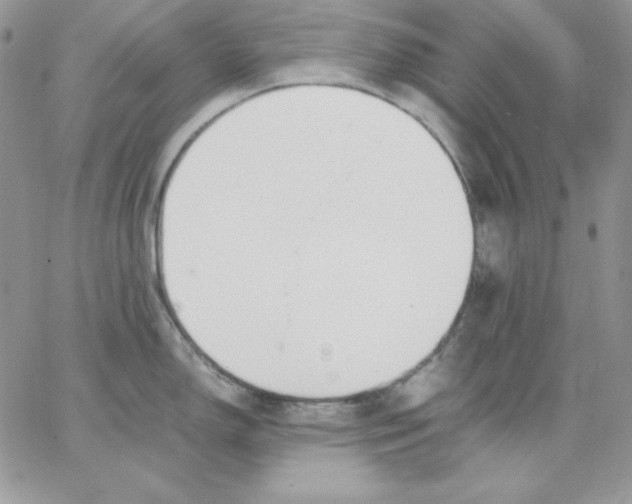 X0000062901150200602031826