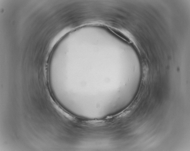 X0000062901151200602031826