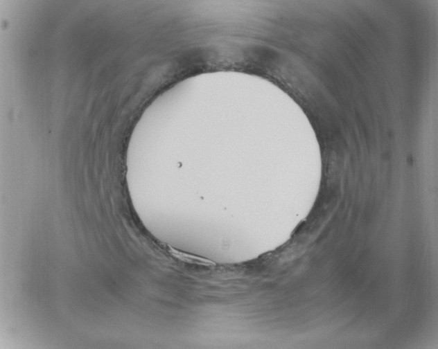 X0000062901153200602031825