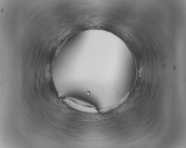 X0000062901156200602031825